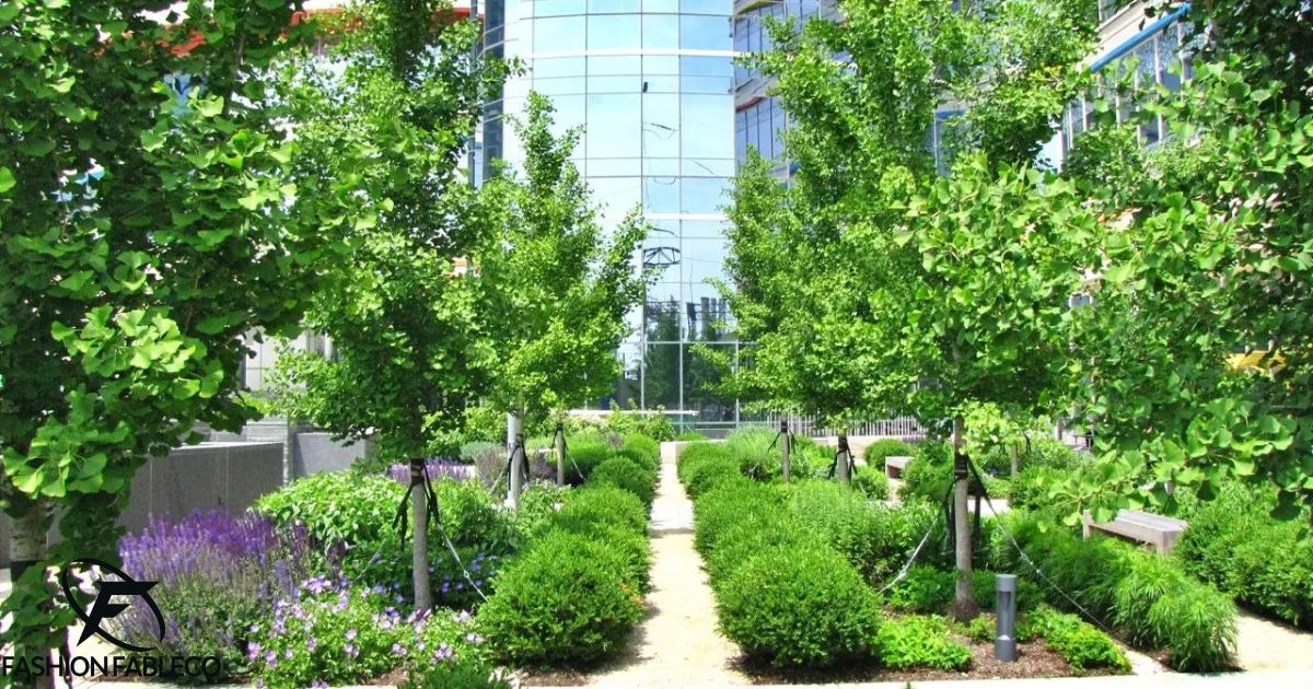 Sustainability Programs and Initiatives